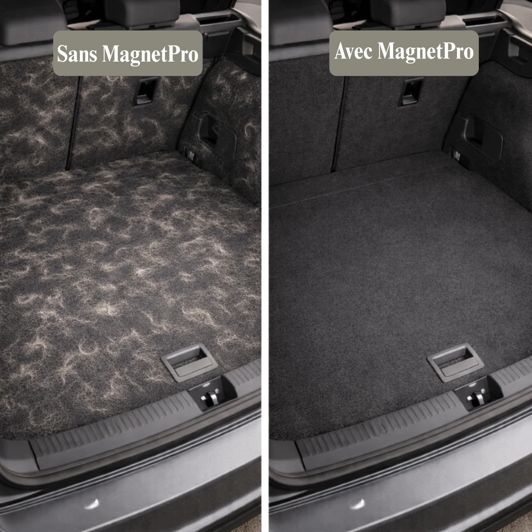 MagnetPro® - Gant Anti Poils