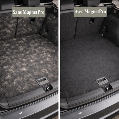 MagnetPro® - Gant Anti Poils