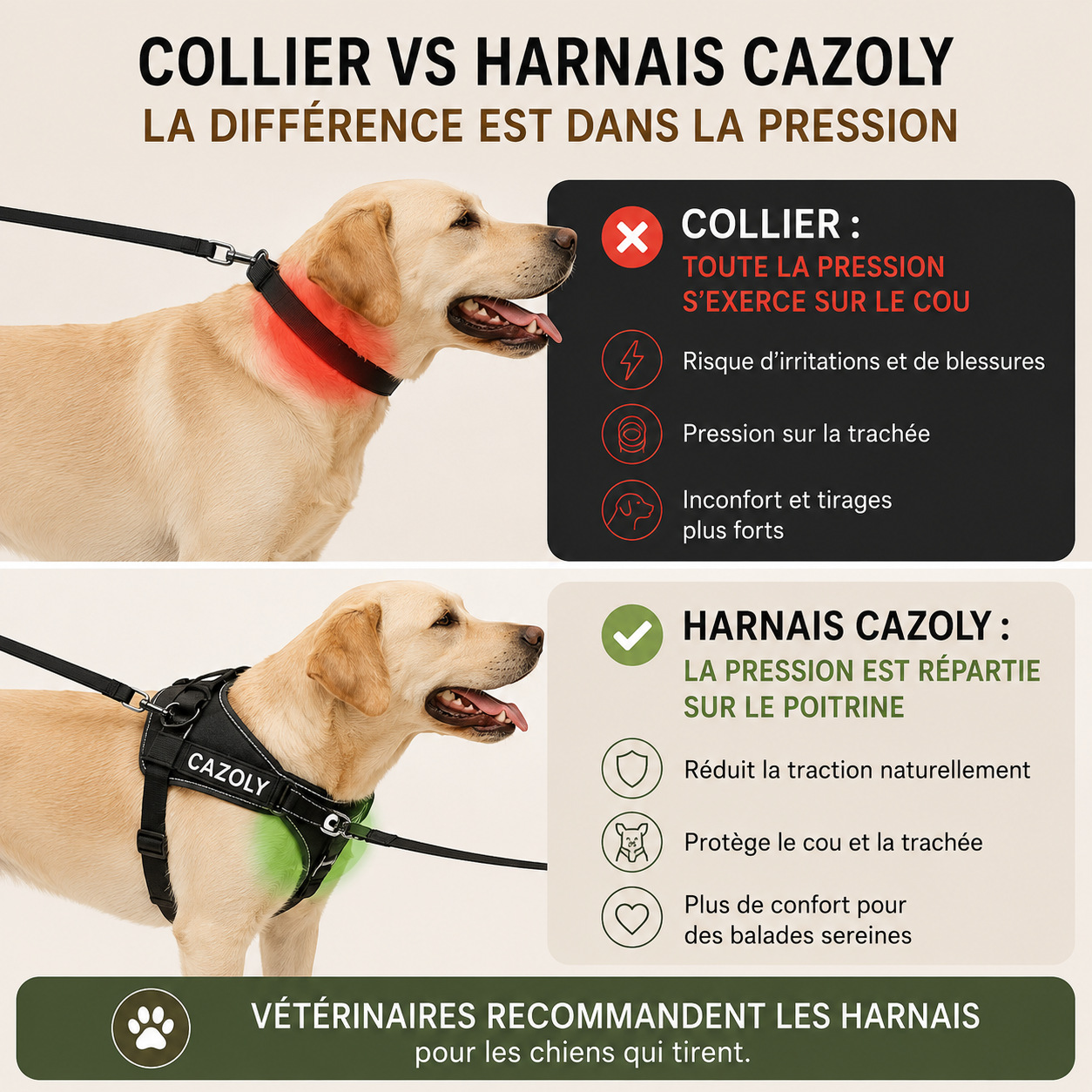 Harnais Anti - Traction Cazoly
