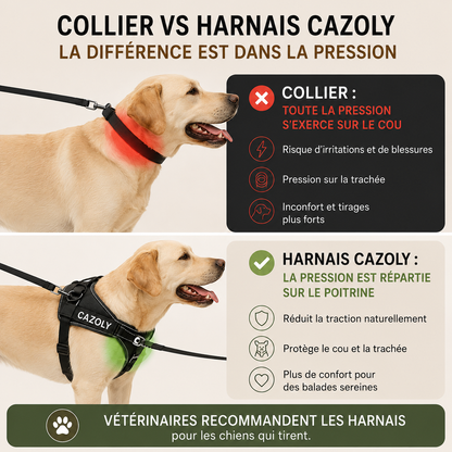 Harnais Anti - Traction Cazoly